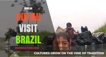 Exploring Brazil: A Comprehensive Guide for Indian Travelers