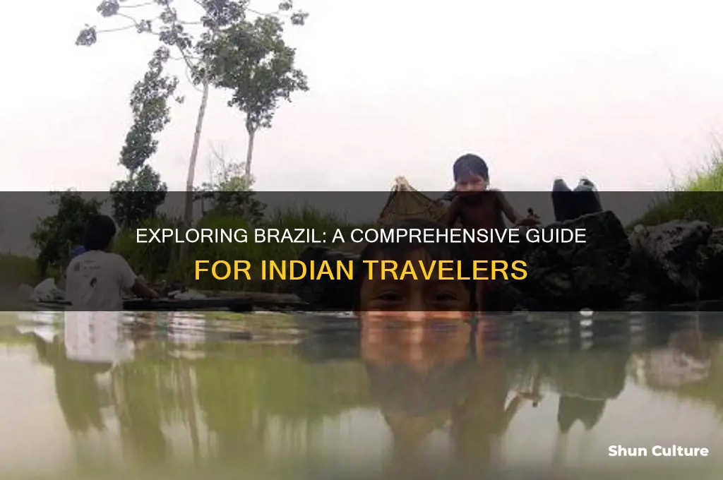 how do indian visit brazil