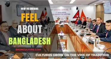 India-Bangladesh Relations: Exploring Mutual Perceptions and Cultural Connections