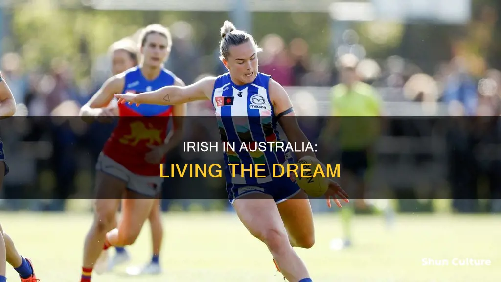 how do irish people live in australia