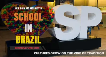 Brazil's School Commute: How Most Kids Travel to Class Daily