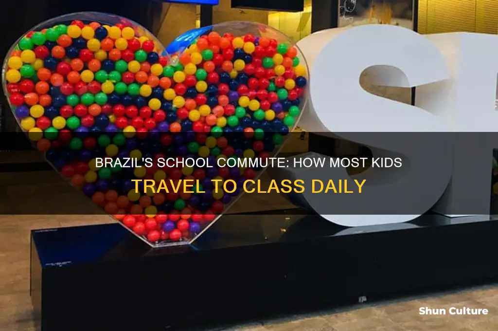 how do most kids get to school in brazil