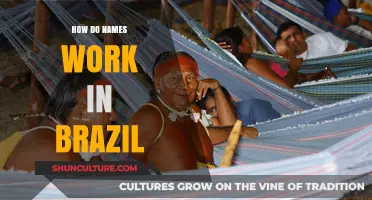 Understanding Brazilian Naming Traditions: Surnames, Given Names, and Cultural Influences