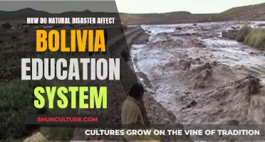 Natural Disasters' Impact on Bolivia's Education System