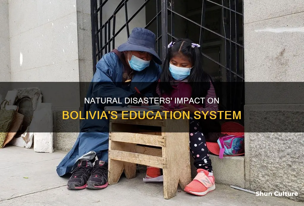 how do natural disaster affect bolivia education system