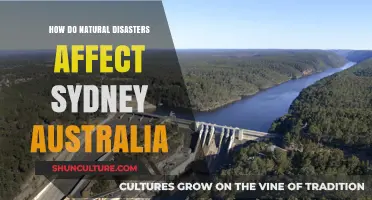 Sydney's Resilience: How Natural Disasters Impact Australia's Iconic City