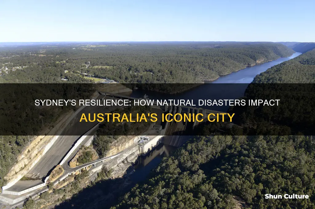 how do natural disasters affect sydney australia