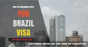 Step-by-Step Guide: Nigerians Applying for a Brazil Visa Easily
