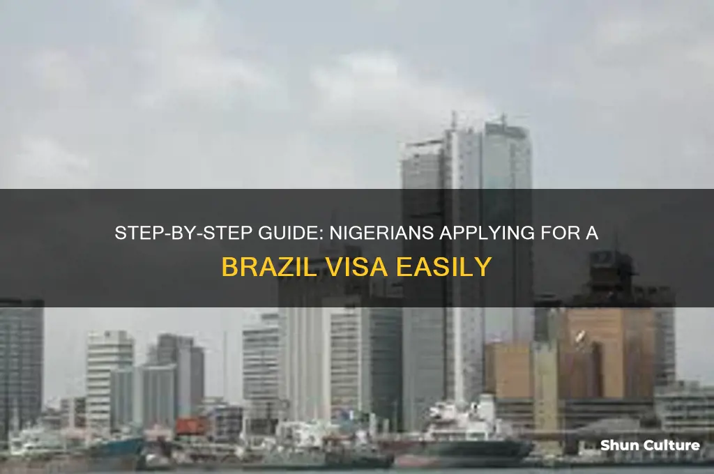 how do nigerians apply for brazil visa