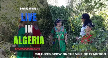Exploring Algeria's Nomadic Life: Traditions, Challenges, and Modern Adaptations