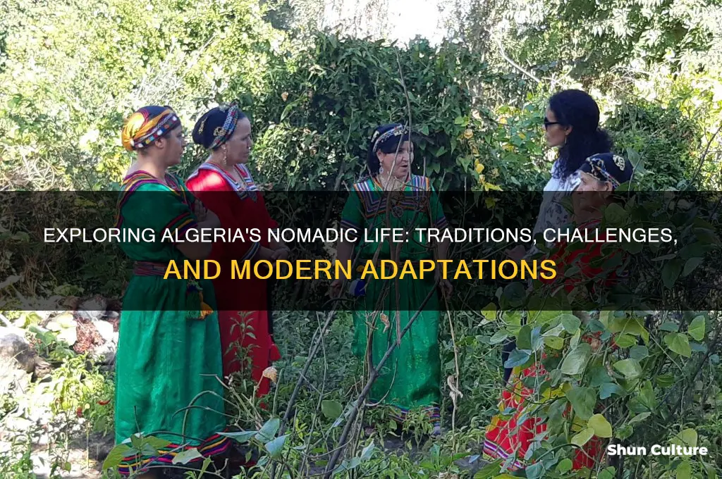 how do nomads live in algeria