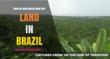 Buying Land in Brazil: A Guide for Foreign Investors