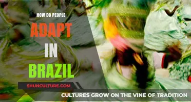 Cultural Resilience: How Brazilians Adapt to Life's Challenges and Changes