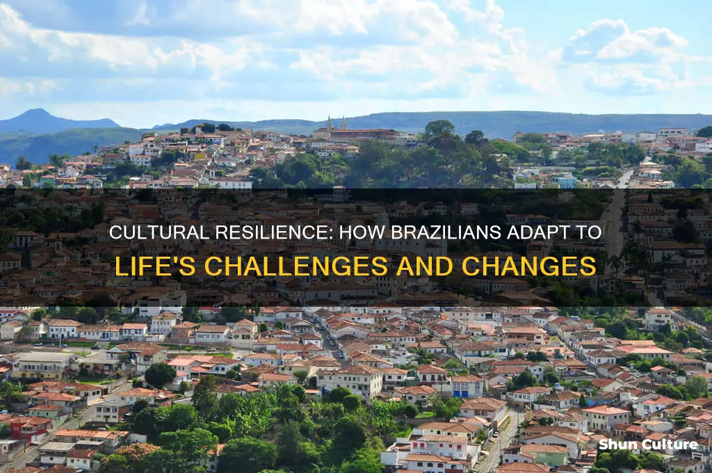 how do people adapt in brazil