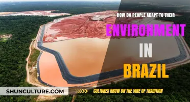 Adapting to Brazil's Diverse Landscapes: Survival Strategies and Cultural Resilience