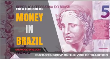 What Do Brazilians Call Their Money? A Guide to Brazilian Currency