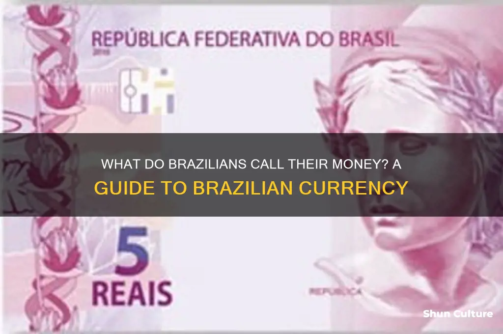 how do people call the money in brazil