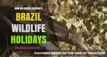 Exploring Brazil's Wildlife Holidays: Unique Celebrations and Traditions