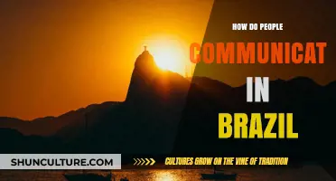 Exploring Brazil's Communication Culture: Language, Gestures, and Social Norms