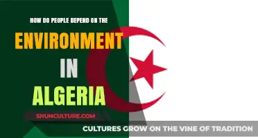Algeria's Environmental Reliance: How Communities Thrive Amidst Nature's Bounty