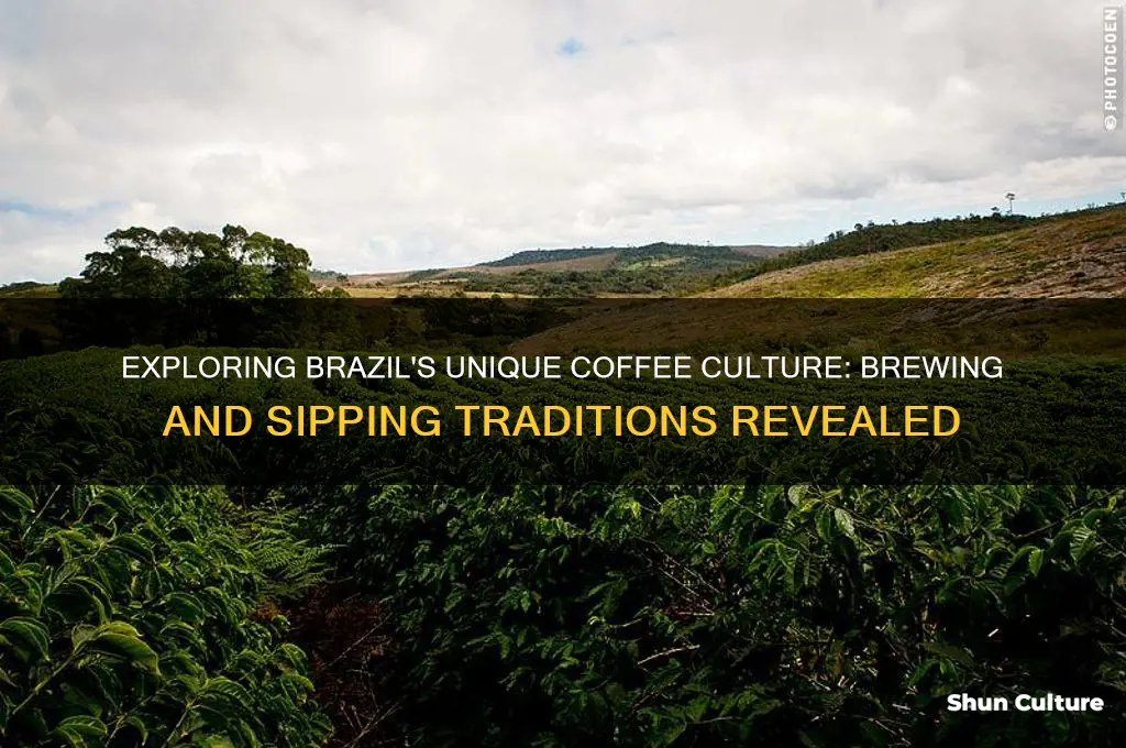 how do people drink their coffee in brazil