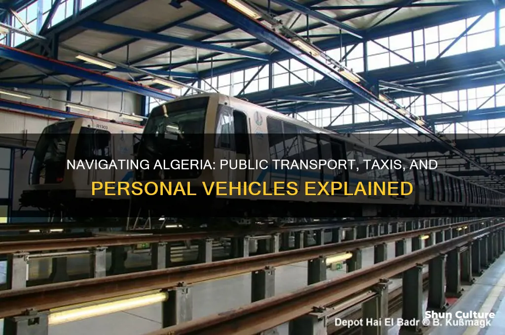 how do people get around in algeria