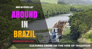 Exploring Brazil's Transport: Buses, Metro, and Unique Travel Options