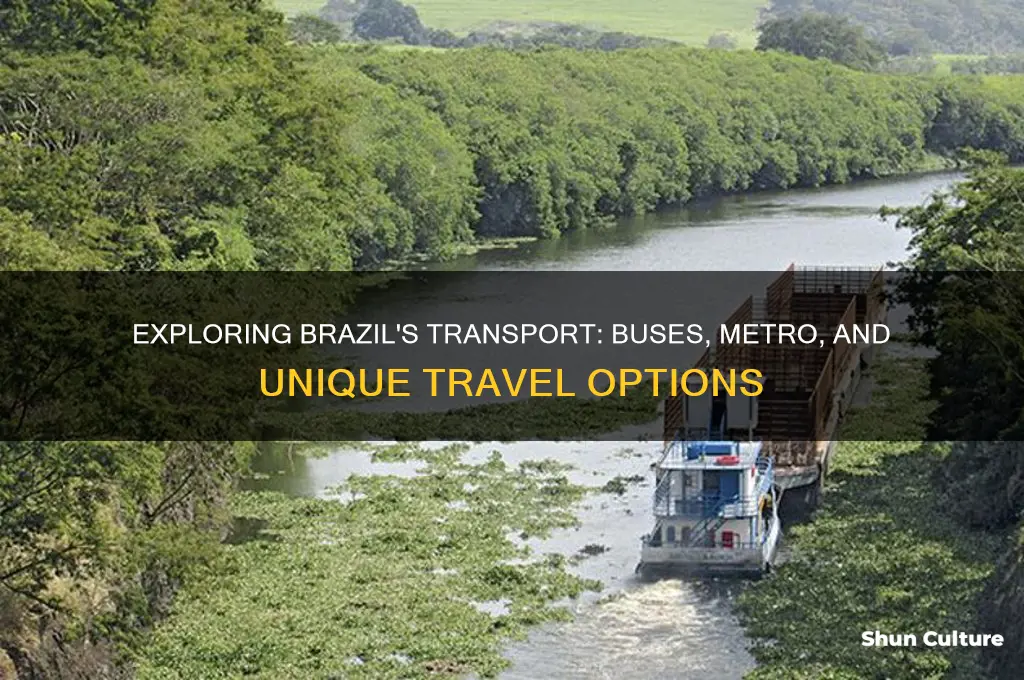 how do people get around in brazil