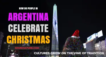Festive Traditions: A Glimpse into Argentine Christmas Celebrations
