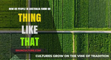 Australian Farming: Techniques and Challenges