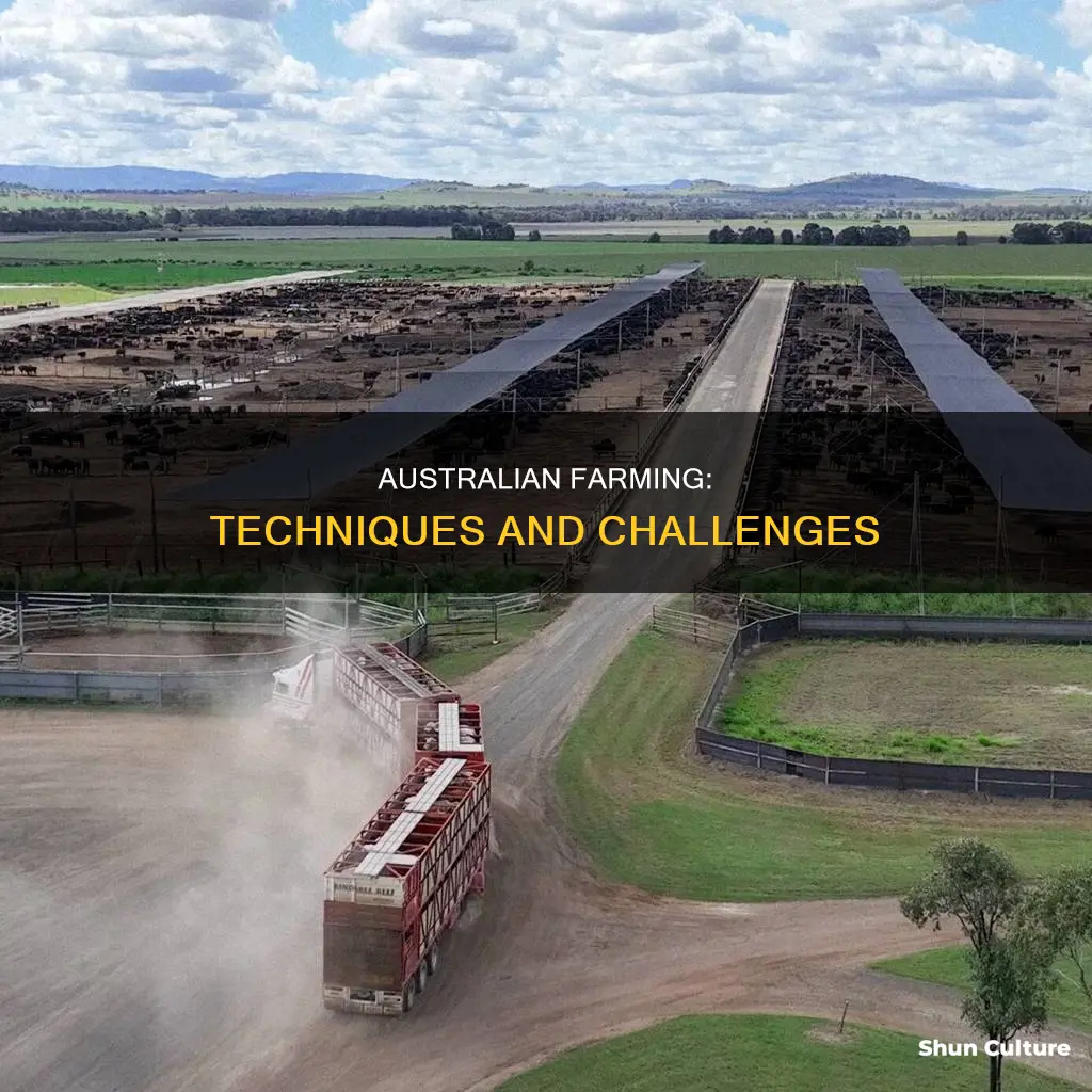 how do people in australia farm or thing like that