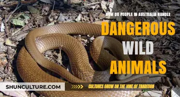 Aussie's Guide to Surviving Wild Animals