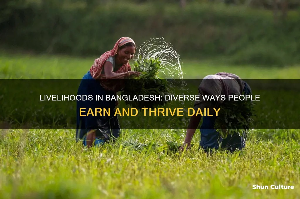 how do people in bangladesh make a living