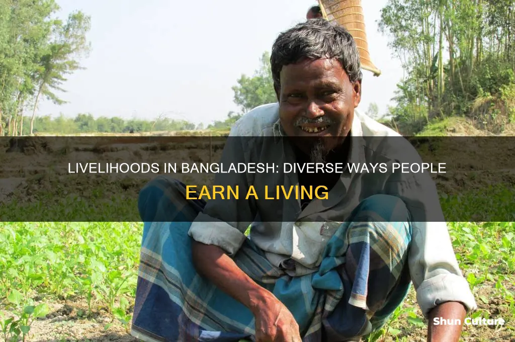 how do people in bangladesh make aliving