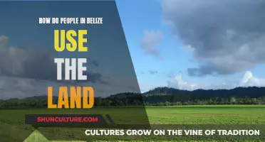 Belize's Land: A Multipurpose Resource for the People