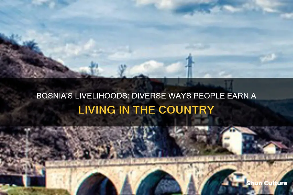 how do people in bosnia make a living