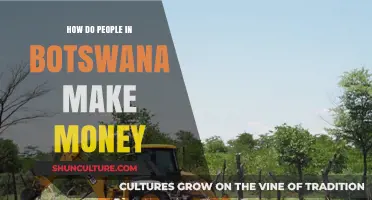 Exploring Botswana's Economy: Diverse Ways Locals Earn Income and Thrive