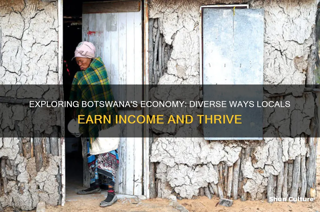 how do people in botswana make money