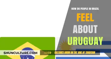 Brazil-Uruguay Relations: Mutual Respect, Friendly Rivalry, and Cultural Connections