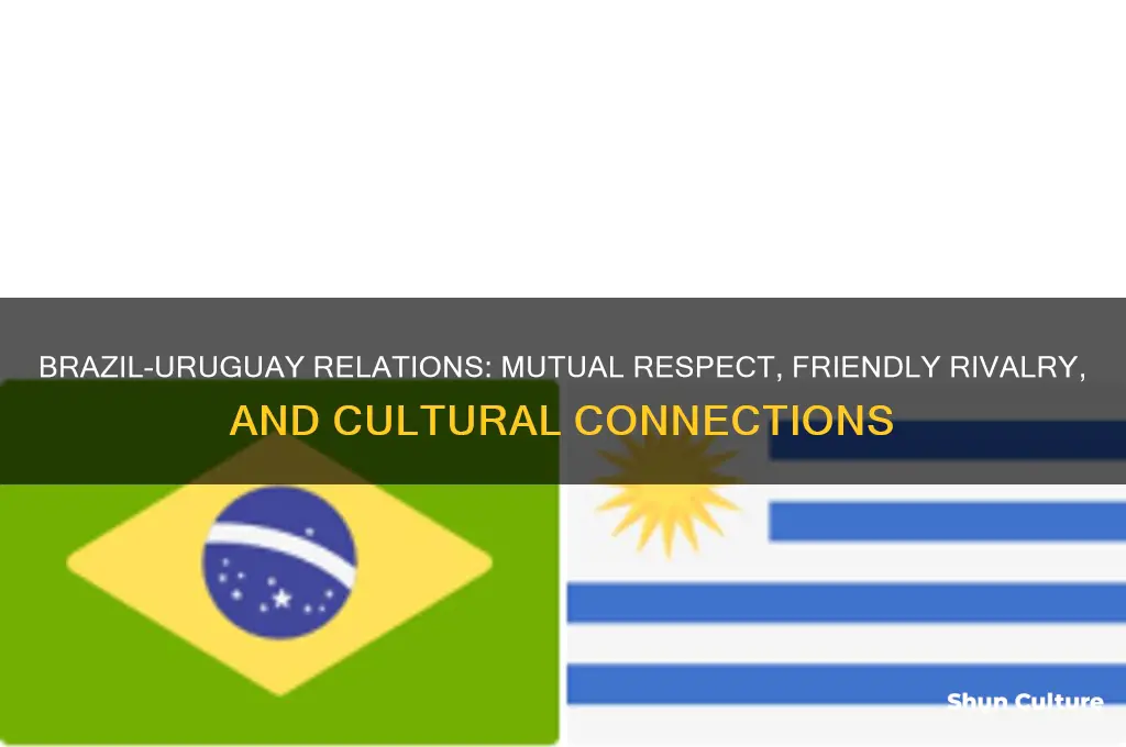 how do people in brazil feel about uruguay