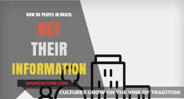 Brazil's Information Landscape: Sources, Trends, and Media Consumption Habits