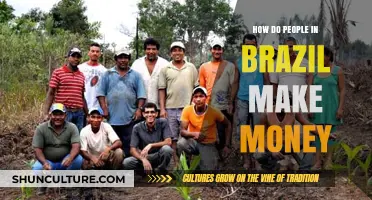 Earning in Brazil: Diverse Ways Brazilians Generate Income and Wealth