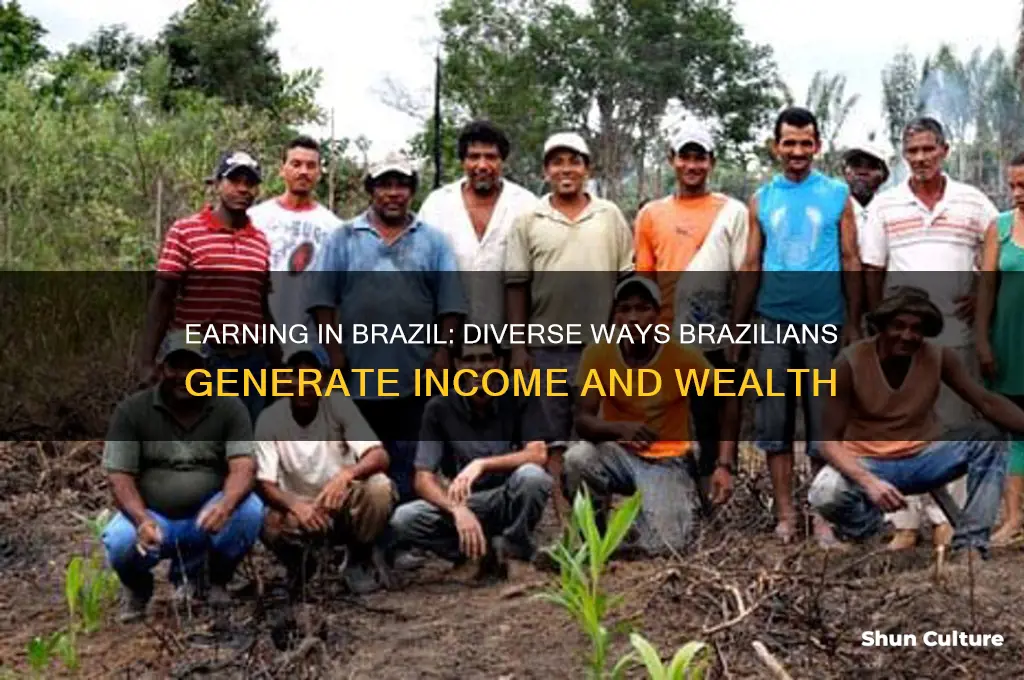 how do people in brazil make money