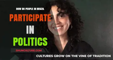Engaging Democracy: How Brazilians Participate in Politics and Civic Life