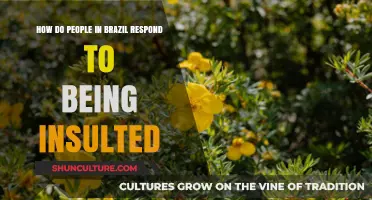 Brazilian Reactions to Insults: Cultural Insights and Emotional Responses