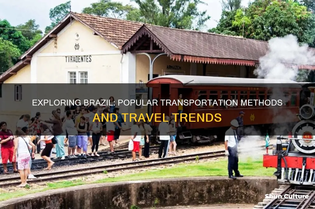 how do people in brazil travil