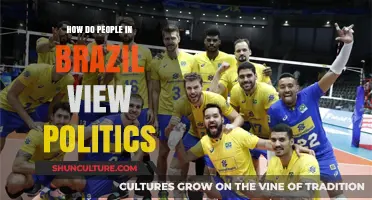 Brazilian Perspectives: Understanding Political Attitudes and Opinions in Brazil