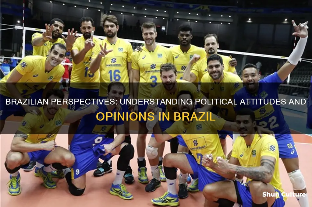 how do people in brazil view politics