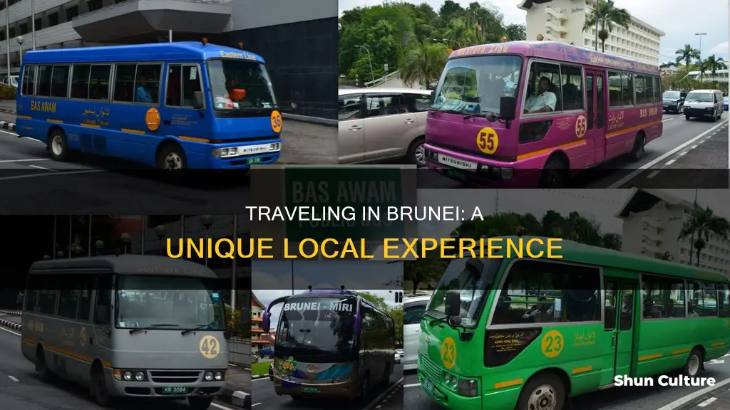 how do people in brunei travel