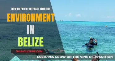 Belize's Natural Environment: Human Interactions and Impacts